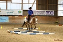 28-ApHC OT_259